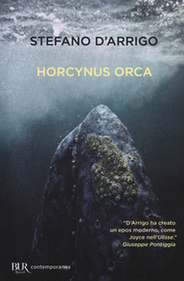 Horcynus Orca - Librerie.coop Horcynus Orca - Librerie.coop