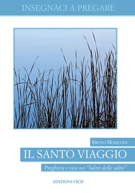 Il Santo viaggio - Librerie.coop