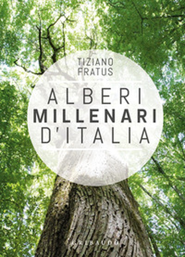 Alberi millenari d'Italia. Un viaggio fra i boschi nascosti - Librerie.coop Alberi millenari d'Italia. Un viaggio fra i boschi nascosti - Librerie.coop