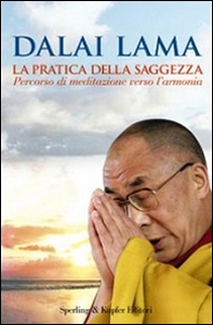 La pratica della saggezza. Percorso di meditazione verso l'armonia - Librerie.coop