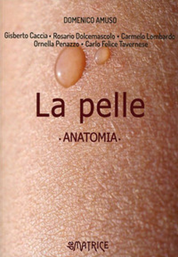 La pelle. Anatomia - Librerie.coop La pelle. Anatomia - Librerie.coop