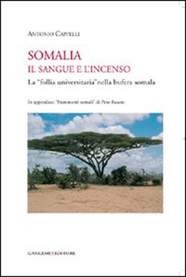 Somalia. Il sangue e l'incenso. La «follia universitaria» nella bufera somala - Librerie.coop Somalia. Il sangue e l'incenso. La «follia universitaria» nella bufera somala - Librerie.coop