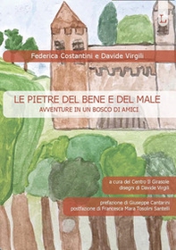 Le pietre del bene e del male. Avventure in un bosco di amici - Librerie.coop