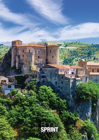 Un coraggioso ragazzo - Librerie.coop