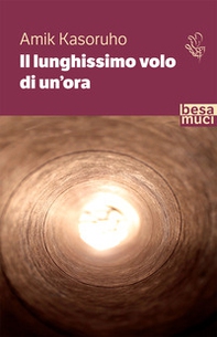 Il lunghissimo volo di un'ora - Librerie.coop Il lunghissimo volo di un'ora - Librerie.coop