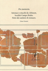 Pro memoria. Intonaci e stucchi da Altinum Località Campo Rialto. Note dal cantiere di restauro - Librerie.coop