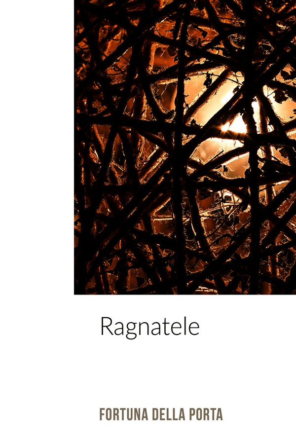 Ragnatele - Librerie.coop Ragnatele - Librerie.coop