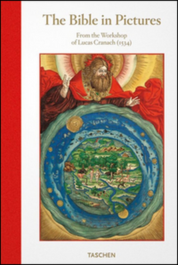 Illustrated Bible. The Bible in pictures. Ediz. inglese - Librerie.coop