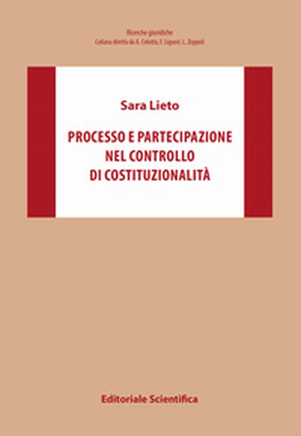 Processo e partecipazione nel controllo di costituzionalità - Librerie.coop Processo e partecipazione nel controllo di costituzionalità - Librerie.coop