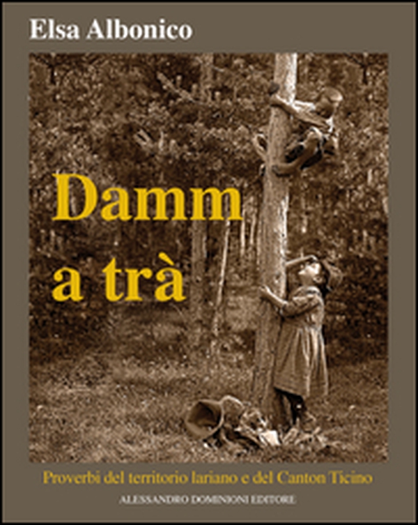 Damm a tra'. Proverbi del territorio lariano e del Canton Ticino - Librerie.coop Damm a tra'. Proverbi del territorio lariano e del Canton Ticino - Librerie.coop