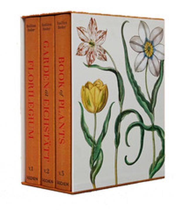 Basilius Besler. The garden at Eichstätt. Ediz. inglese, francese e tedesca - Librerie.coop Basilius Besler. The garden at Eichstätt. Ediz. inglese, francese e tedesca - Librerie.coop