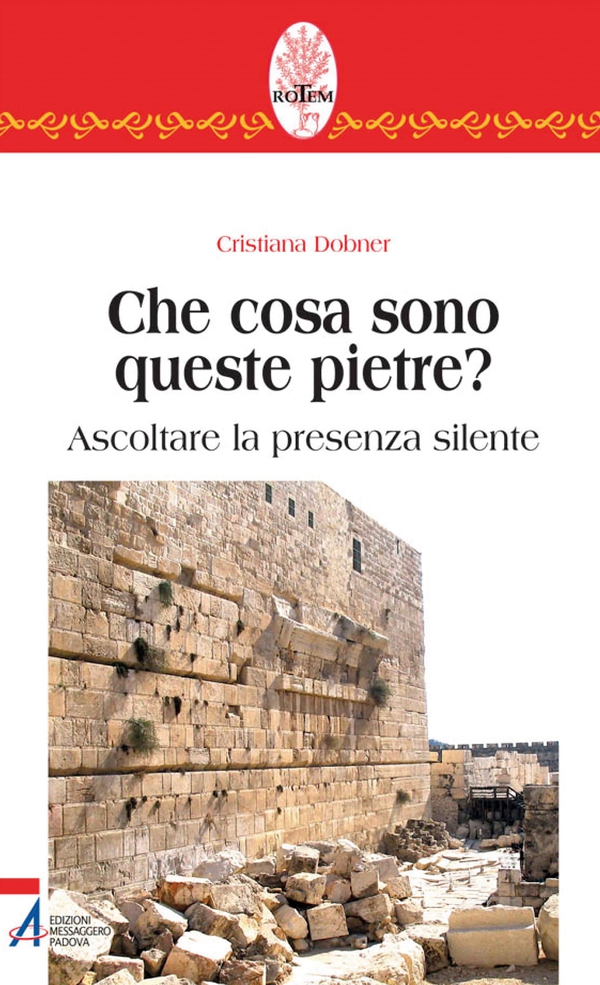 Che cosa sono queste pietre? Ascoltare la presenza silente - Librerie.coop Che cosa sono queste pietre? Ascoltare la presenza silente - Librerie.coop