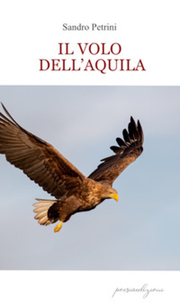 Il volo dell'aquila - Librerie.coop