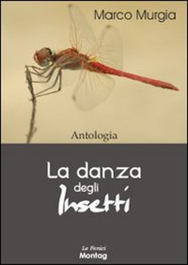 La danza degli insetti - Librerie.coop La danza degli insetti - Librerie.coop