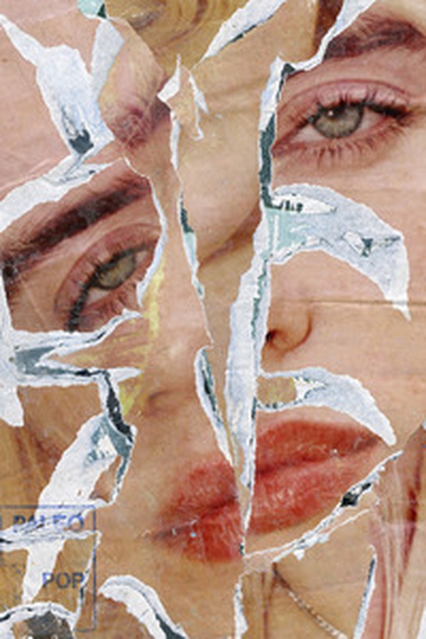 Hilarius Hofstede. The collages - Librerie.coop Hilarius Hofstede. The collages - Librerie.coop