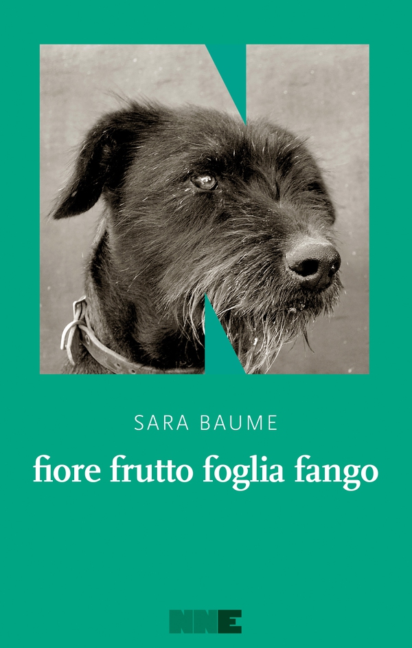 fiore frutto foglia fango - Librerie.coop