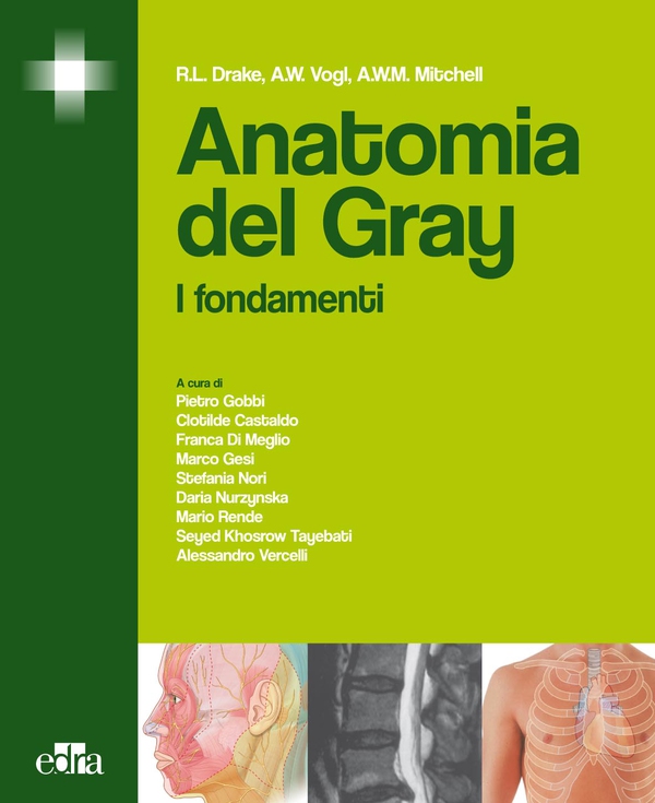Anatomia del Gray - Librerie.coop Anatomia del Gray - Librerie.coop
