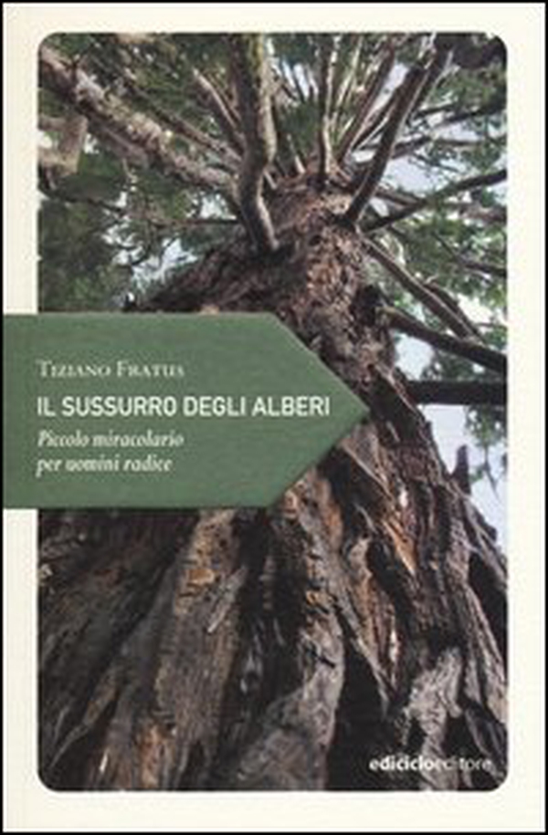 Il sussurro degli alberi. Piccolo miracolario per uomini radice - Librerie.coop Il sussurro degli alberi. Piccolo miracolario per uomini radice - Librerie.coop