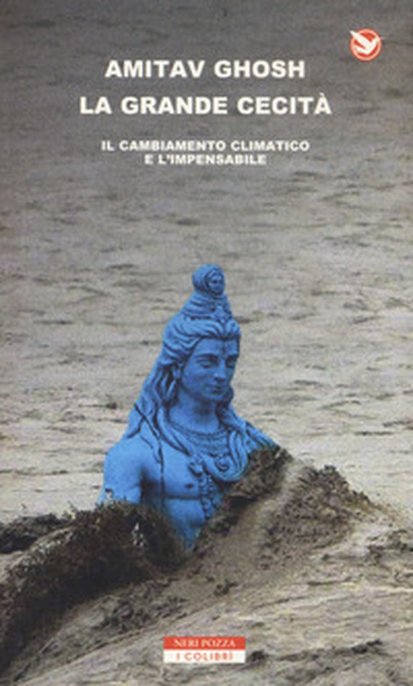 La grande cecità. Il cambiamento climatico e l'impensabile - Librerie.coop La grande cecità. Il cambiamento climatico e l'impensabile - Librerie.coop