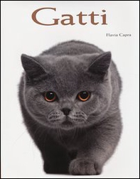 Gatti - Librerie.coop