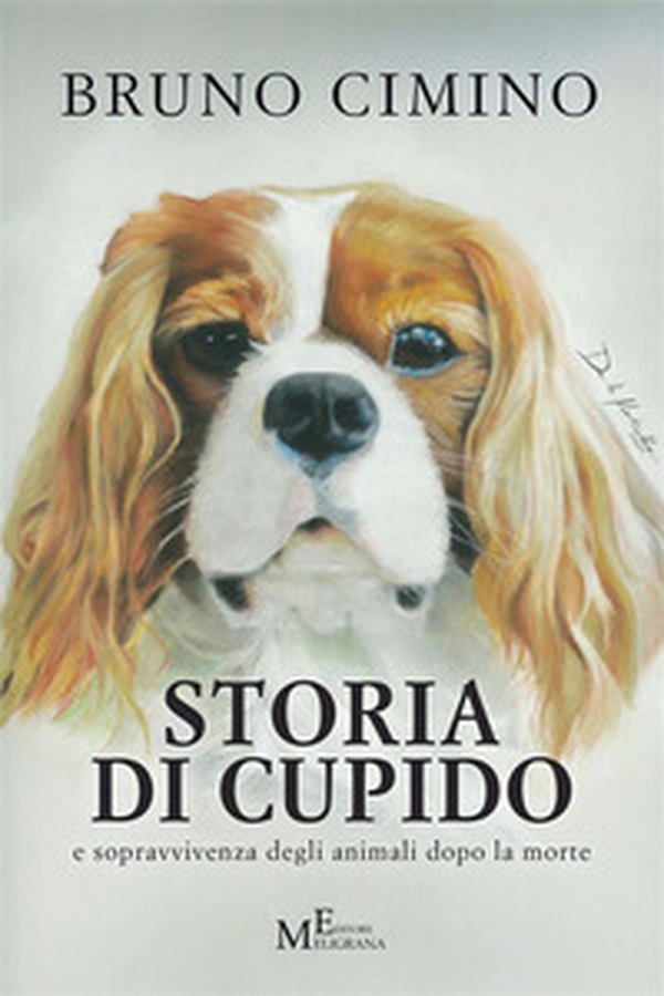 La birra nel mondo - Librerie.coop La birra nel mondo - Librerie.coop