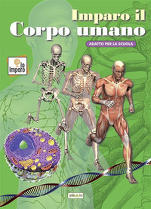 Imparo il corpo umano - Librerie.coop Imparo il corpo umano - Librerie.coop