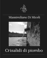 Crisalidi di piombo - Librerie.coop
