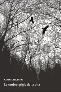 Le ombre grigie della vita - Librerie.coop