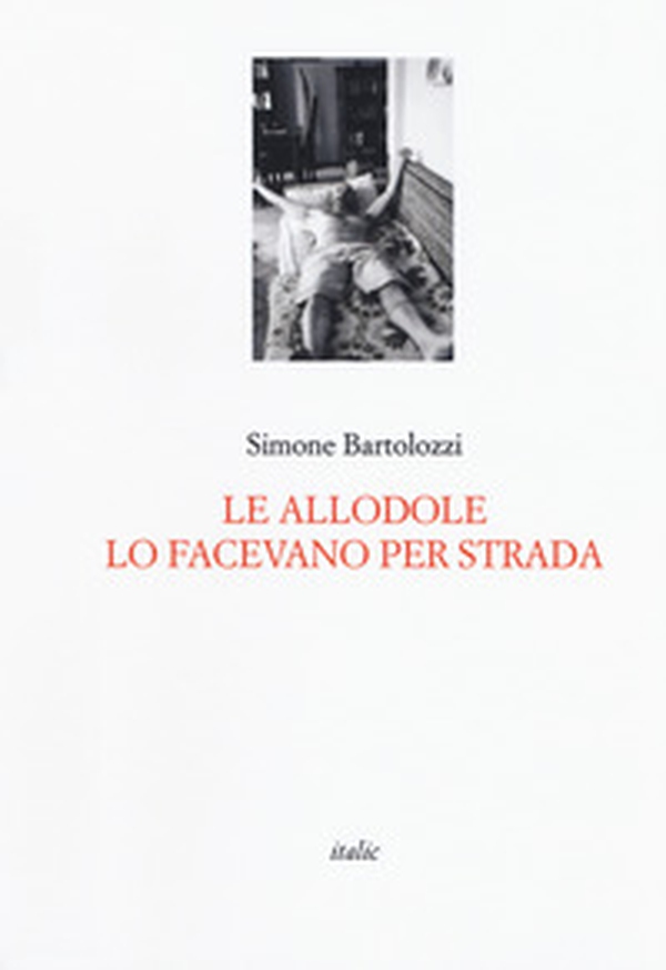 Le allodole lo facevano per strada - Librerie.coop