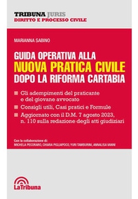 Guida operativa alla nuova pratica civile dopo la riforma Cartabia - Librerie.coop