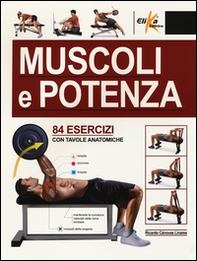 Muscoli e potenza. 84 esercizi con tavole anatomiche - Librerie.coop Muscoli e potenza. 84 esercizi con tavole anatomiche - Librerie.coop