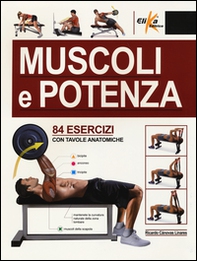 Muscoli e potenza. 84 esercizi con tavole anatomiche - Librerie.coop
