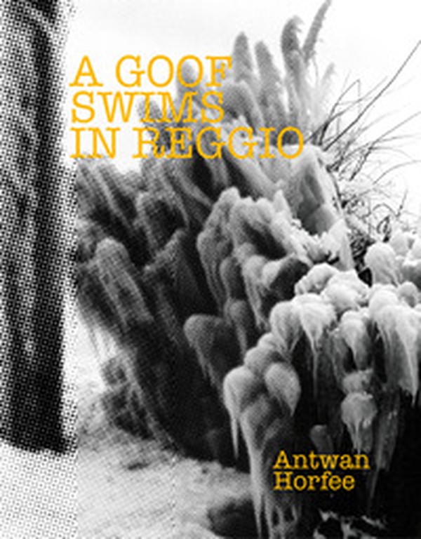A goof swims in Reggio - Librerie.coop A goof swims in Reggio - Librerie.coop