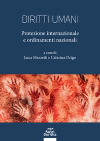 Diritti umani. Protezione internazionale e ordinamenti nazionali - Librerie.coop