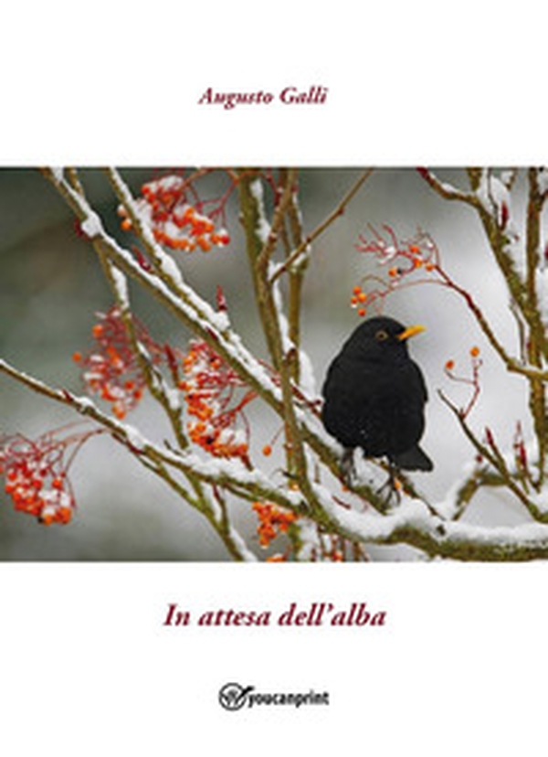 In attesa dell'alba - Librerie.coop In attesa dell'alba - Librerie.coop