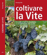Coltivare la vite - Librerie.coop