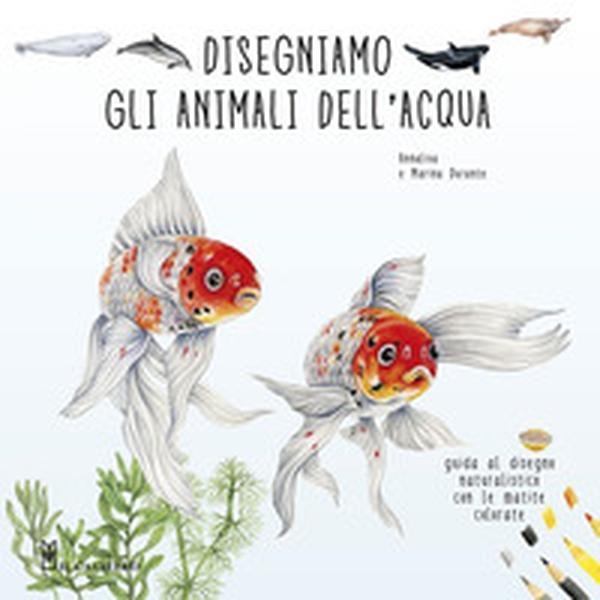 Disegniamo gli animali dell'acqua. Guida al disegno naturalistico con le matite colorate - Librerie.coop Disegniamo gli animali dell'acqua. Guida al disegno naturalistico con le matite colorate - Librerie.coop
