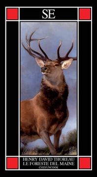 Le foreste del Maine. Chesuncook - Librerie.coop