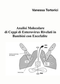 Analisi molecolare di ceppi di enterovirus rivelati in bambini con encefalite - Librerie.coop