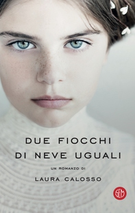 Due fiocchi di neve uguali - Librerie.coop