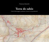 Terra de Salsis. Il sale di Salsomaggiore, produzione e mercato in età preindustriale - Librerie.coop