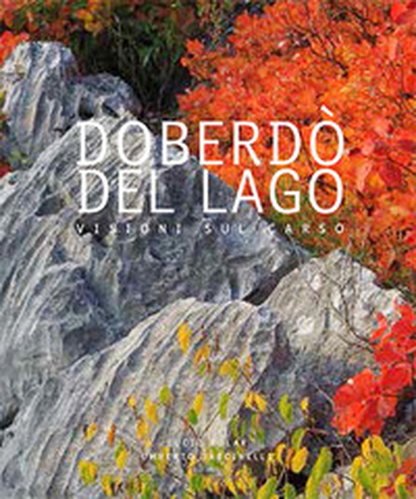 Doberdò del Lago. Visioni sul Carso-A view across the Karst. Ediz. italiana, inglese e slovena - Librerie.coop Doberdò del Lago. Visioni sul Carso-A view across the Karst. Ediz. italiana, inglese e slovena - Librerie.coop