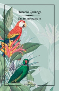 Un amore passato - Librerie.coop