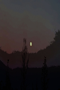 C&#39;è la Luna in cielo - Librerie.coop