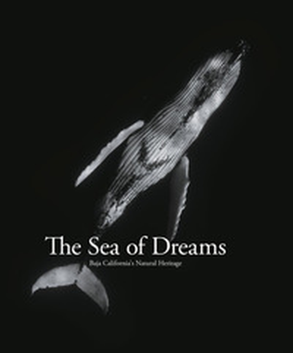 Sea of dreams. Baja California's natural heritage - Librerie.coop