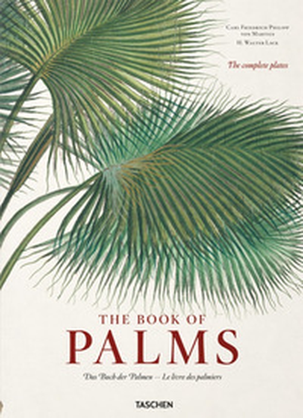 C. F. P. von Martius. The book of palms. Ediz. inglese, francese e tedesca - Librerie.coop C. F. P. von Martius. The book of palms. Ediz. inglese, francese e tedesca - Librerie.coop