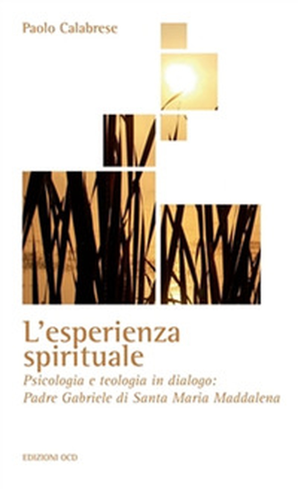 L'esperienza spirituale. Psicologia e teologia in dialogo: Padre Gabriele di Santa Maria Maddalena - Librerie.coop