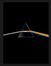 Pink Floyd. Their mortal remains - Librerie.coop