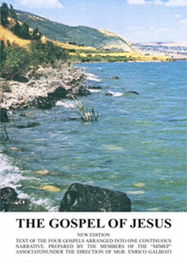 The gospel of Jesus - Librerie.coop The gospel of Jesus - Librerie.coop