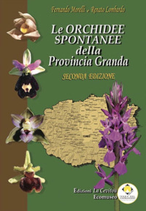 Le orchidee spontanee della Provincia Granda - Librerie.coop Le orchidee spontanee della Provincia Granda - Librerie.coop